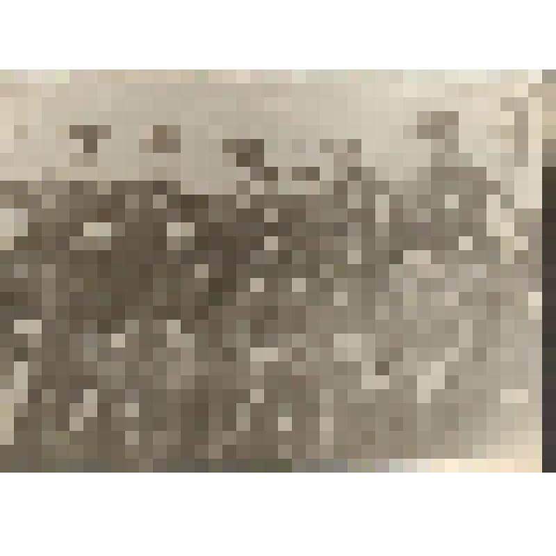 Фотография. Командование 206-го ДИПТР