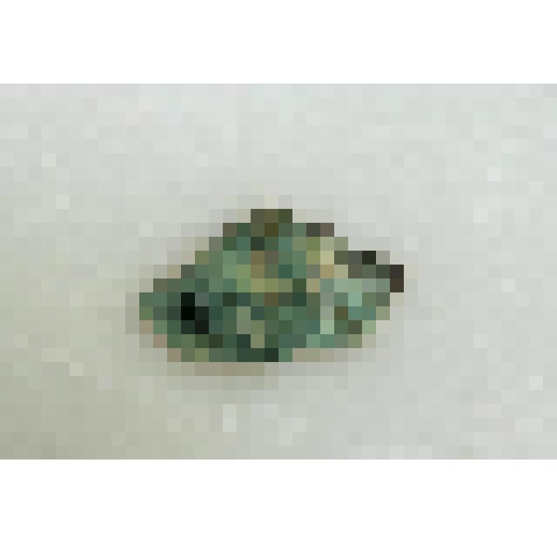 Первичный отщеп