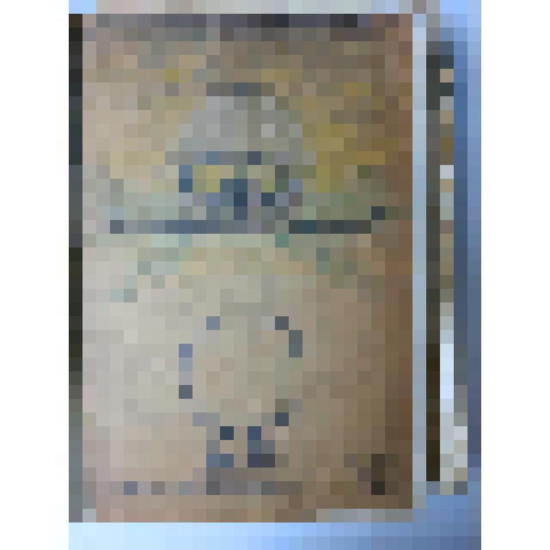 Альбом с проектными чертежами, с эскизами, зарисовками архитектурных памятников и деталей, произведений скульптуры и декоративно-прикладного искусства, пейзажными зарисовками, тематическими рисунками исторического жанра и по мотивам воспоминаний детства и