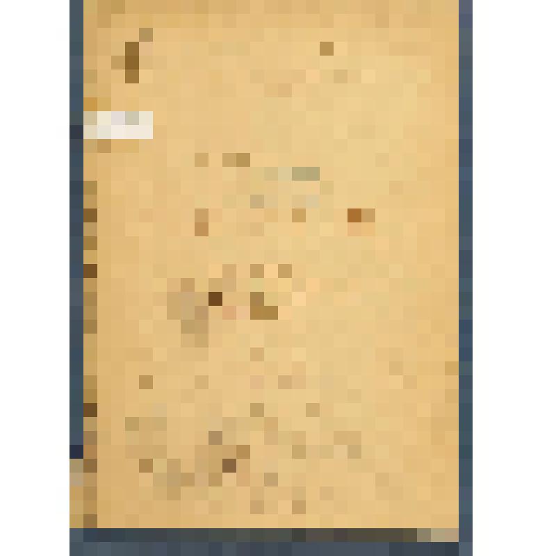 Catalogue des tableaux, aqua-relles, pastels et dessins, ob-jets d’Art et d’Ameublement et etc. le tout dépendant de la faillite de M. Balensi. La vente Galerie Georges Petit. Paris