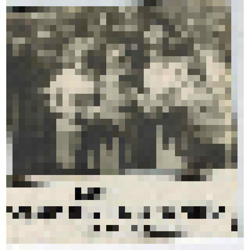 Фотокопия. Мать Крутовой Евгении - Ульяна Ивановна