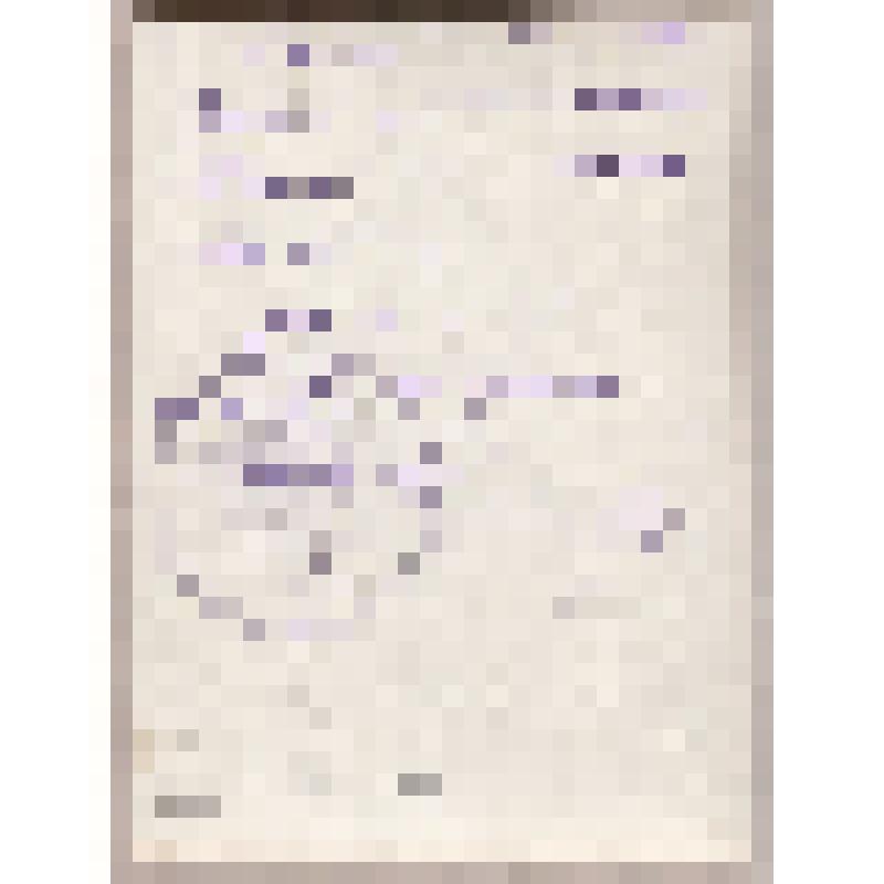 Фотография. Портрет. Мышанский Василий Акимович - офицер запаса, младший лейтенант, участник Великой Отечественной войны 1941-1945 гг