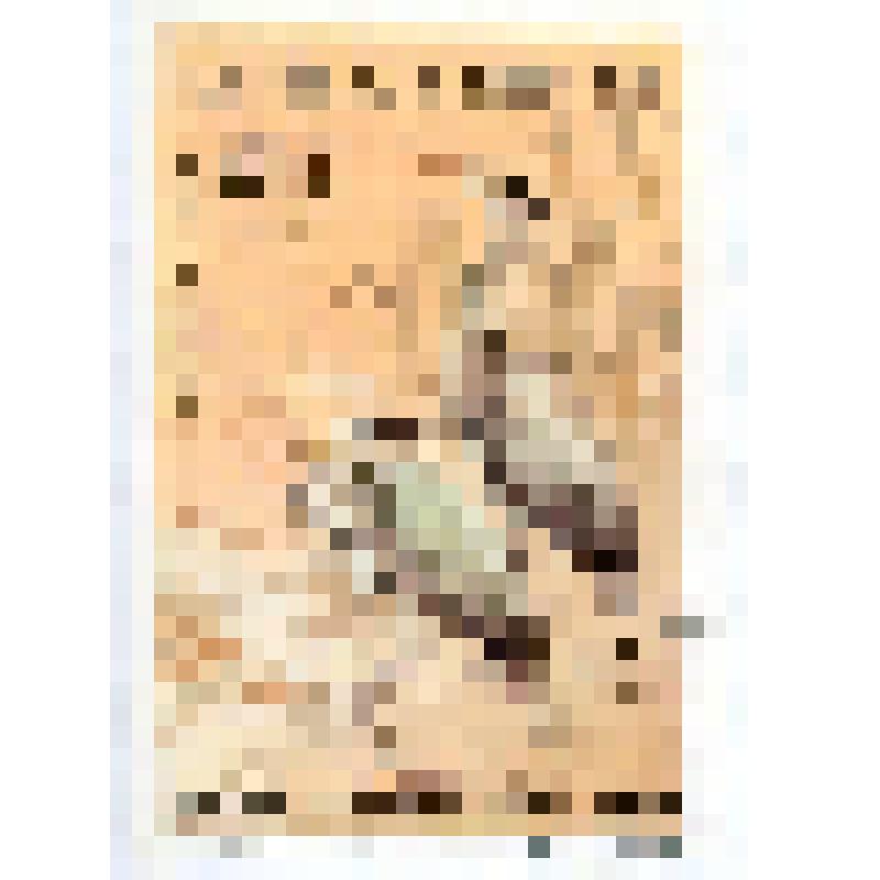 Марка почтовая. Птица цапля серая (Ardea cinerea). Номинал 50 вьетнамских су