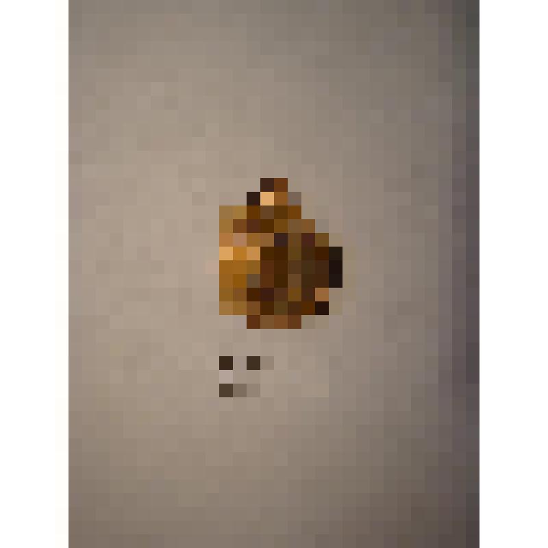 Жетон с изображением Л.Н.Толстого