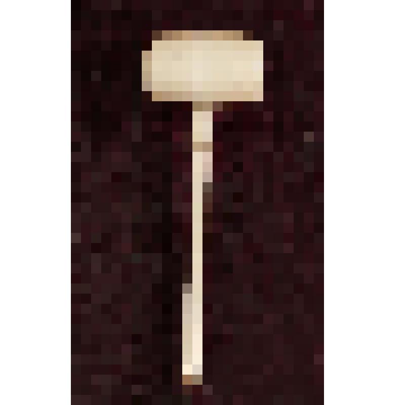 Коробка с костяными бирюльками: кувалда