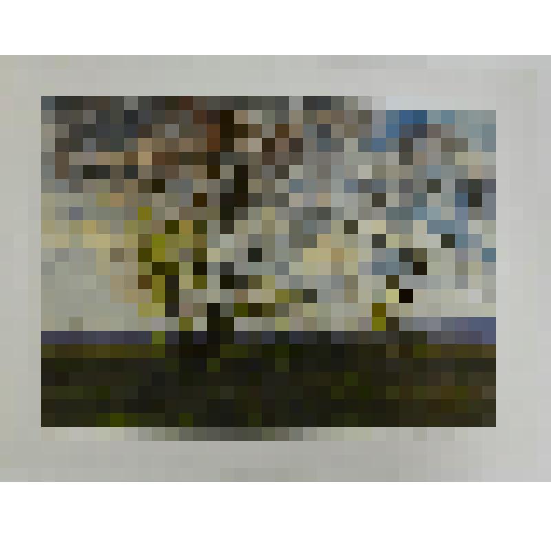 Акварель. Зеленеет