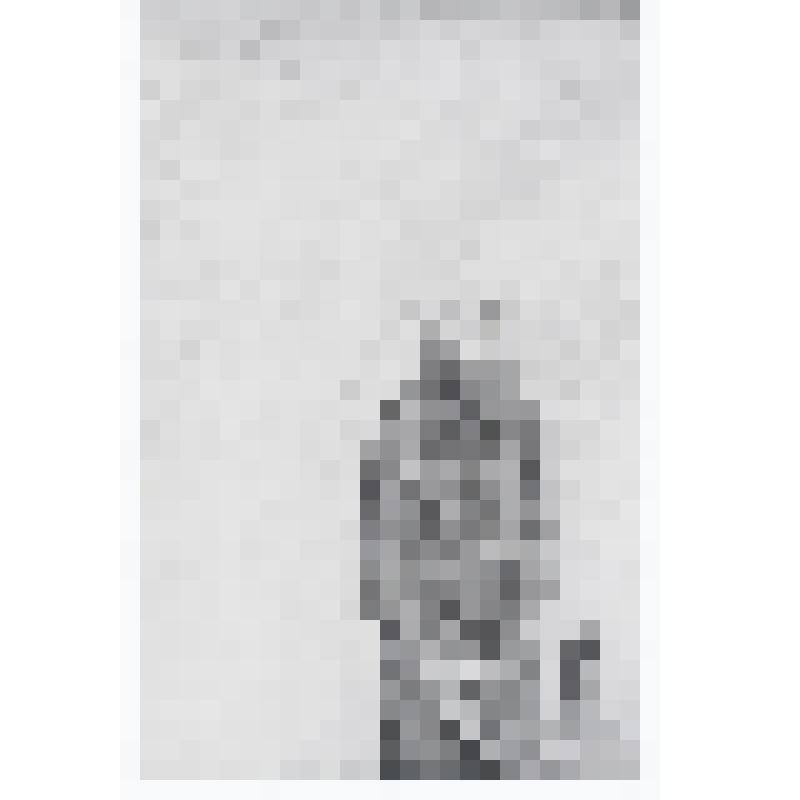 Достоевский (?)