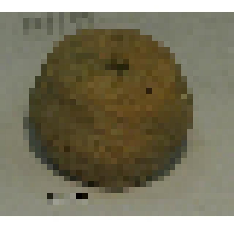 Пряслице