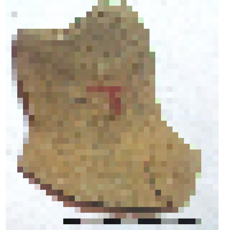 Фрагмент нижней чатсти горла амфоры типа D с дипинто