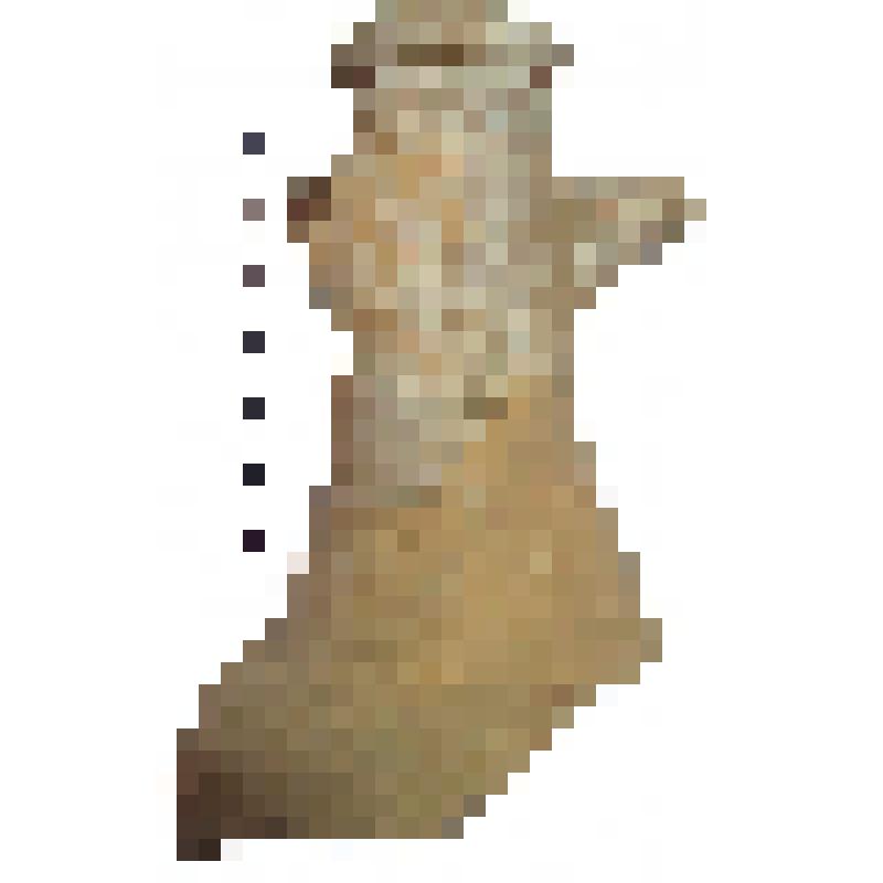 Горло амфоры типа D с дипинто