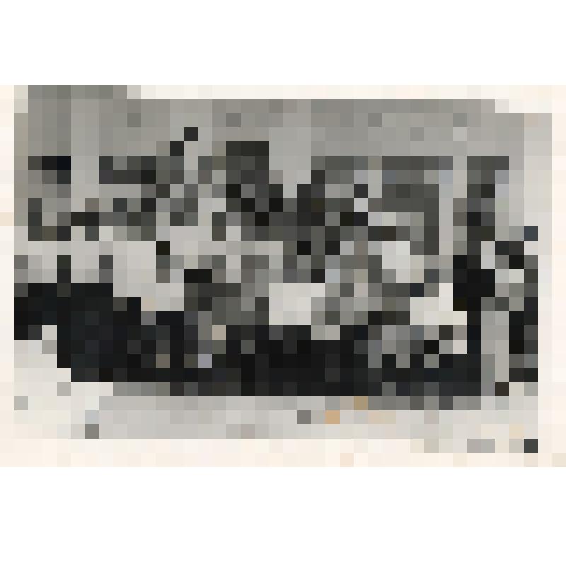 Фотография. Колхозное собрание колхоза им. Чапаева. На фото группа мужчин и женщин разных возрастов стоят у здания Дома культуры