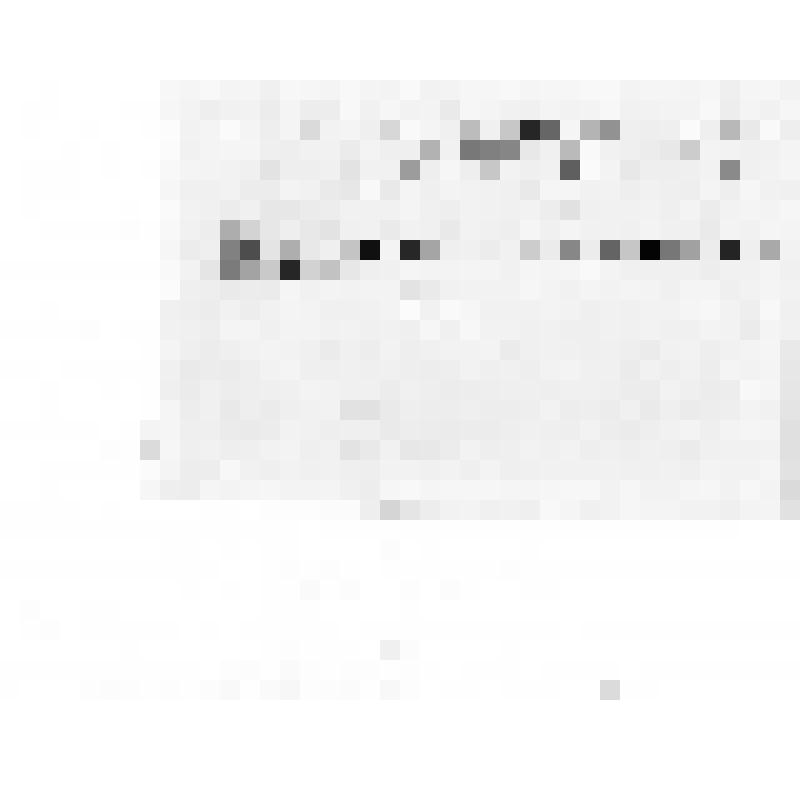 Фотография. Колхозное собрание колхоза им. Чапаева. На фото группа мужчин и женщин разных возрастов стоят у здания Дома культуры