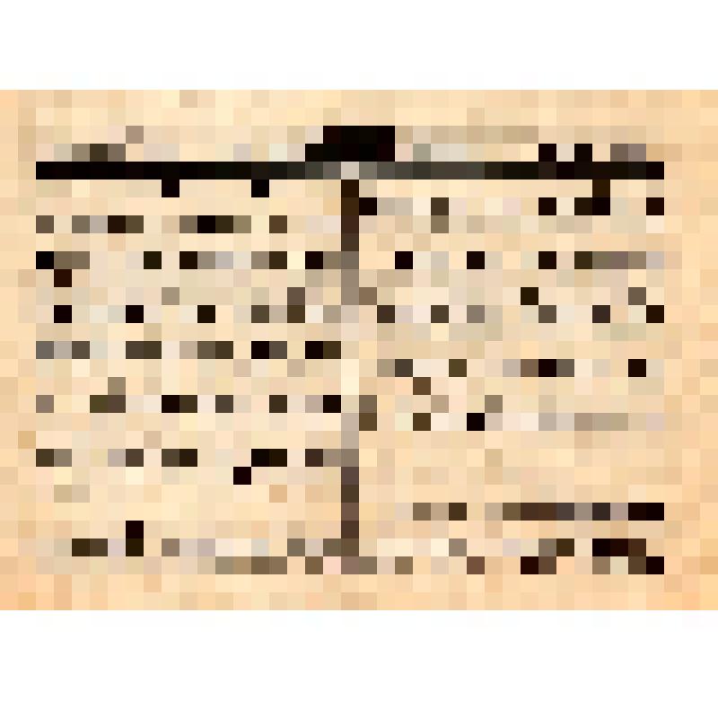 Сообщения советского информбюро. Специальный выпуск красноармейской газеты "Пунавяэлане" N 75