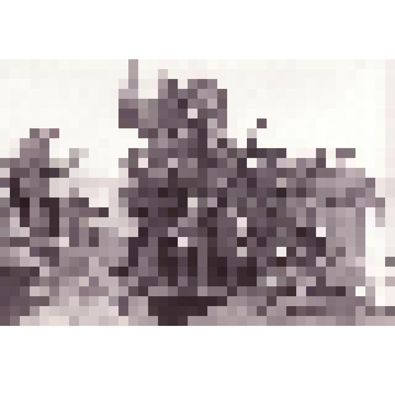 М.И. Калинин во время поездки по Крыму и Украине