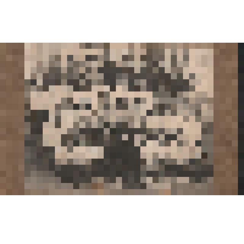 Фотопортрет на картоне групповой (32 чел.) на фоне стены деревянного дома. Участники первого кружка физкультуры Бочкарево-Александровской (сейчас г. Белогорск) организации РКСМ. РСФСР