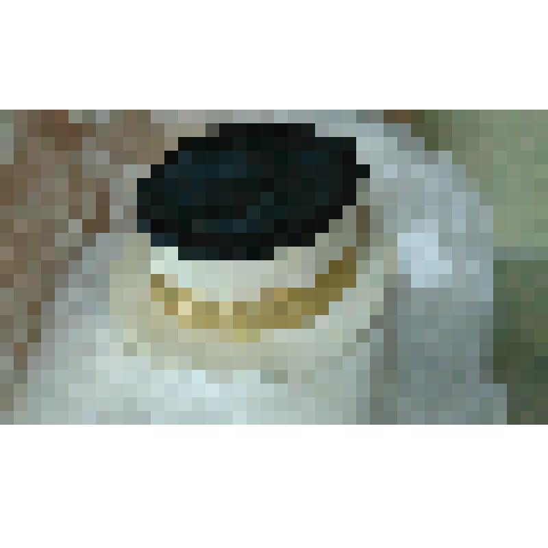 Деталь костюма Н.М. Цискаридзе к партии Конферансье. Шляпа. "Золотой век". Шостакович Д.; 1982, балетм. Григорович Ю.Н., худ. Вирсаладзе С.Б