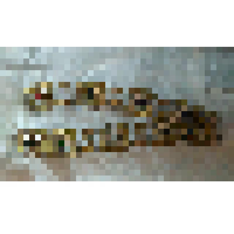 Деталь Костюма В.А. Давыдовой  к партии Амнерис. Фрагмент пояса. "Аида". Верди Дж.; 1922, реж. Лосский В.А., худ. Кольбе Г.Ф