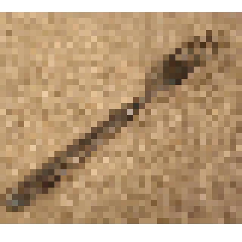 Вилка столовая, из коллекции предметов быта от сотрудников Саратовского областного музея краеведения