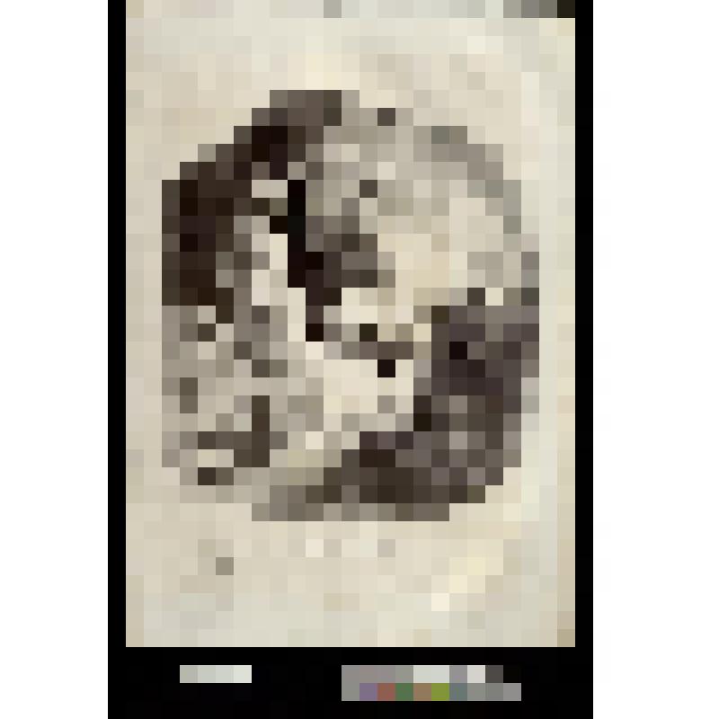 «Eh! Bien, ma Didine, avons-nous assez dansé? ...» 