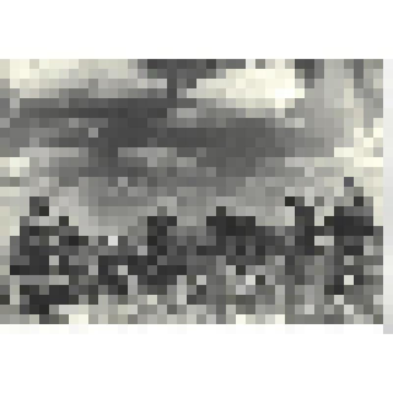 Фотографии. Фото ч/б. Немецкие фашисты сдаются в плен, 1943 г