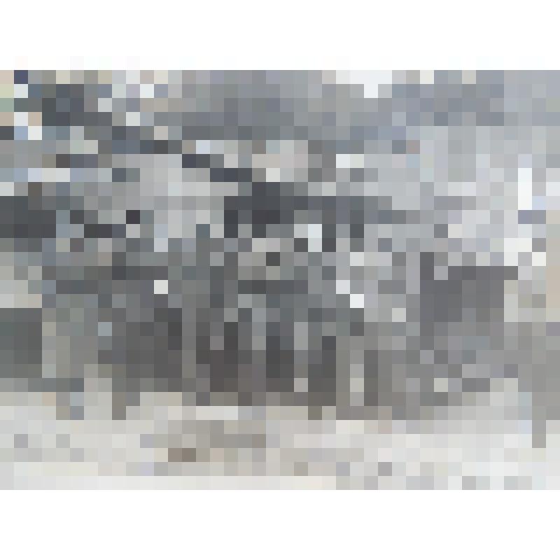 Фото: Танки и экипаж