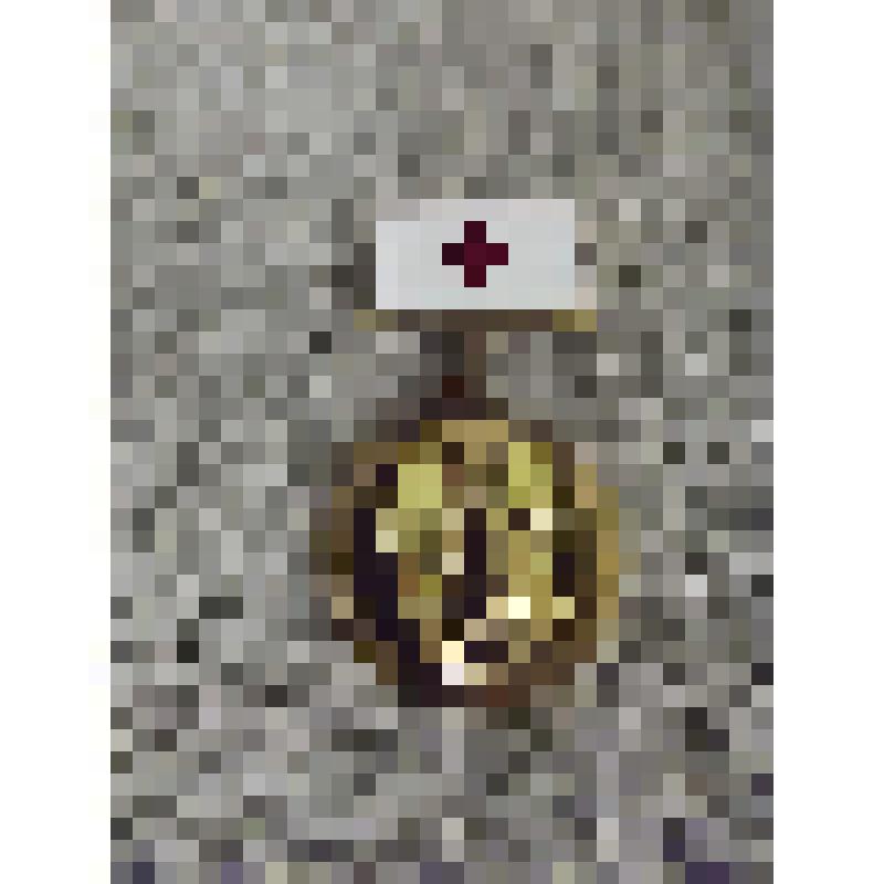 Нагрудный знак имени З.П. Соловьева