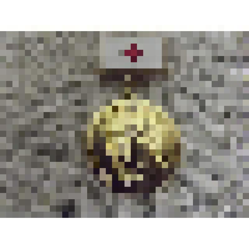 Нагрудный знак имени З.П. Соловьева