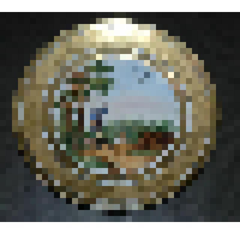 Тарелка декоративная со сценами охоты