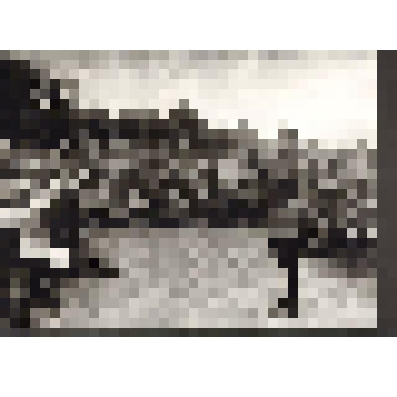 Фотография (сюжетная) "Выступление государственного ансамбля украинской песни и пляски перед бойцами и командирами одной из действующих частей Красной Армии. Харьковское направление"