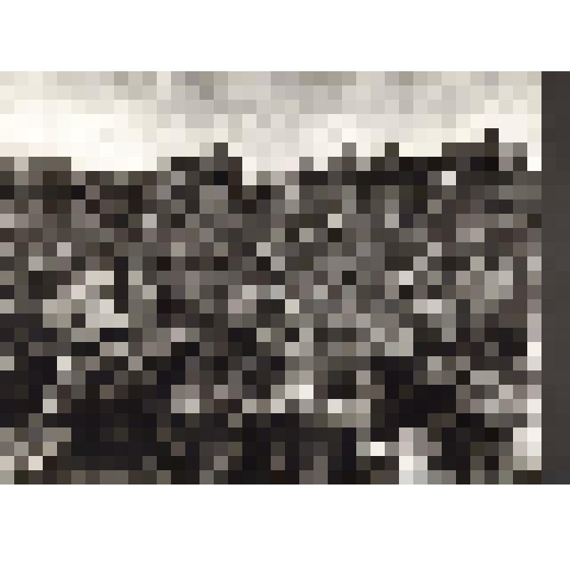 Фотография (сюжетная) "Выступление государственного ансамбля украинской песни и пляски перед бойцами и командирами одной из действующих частей Красной Армии. Харьковское направление"