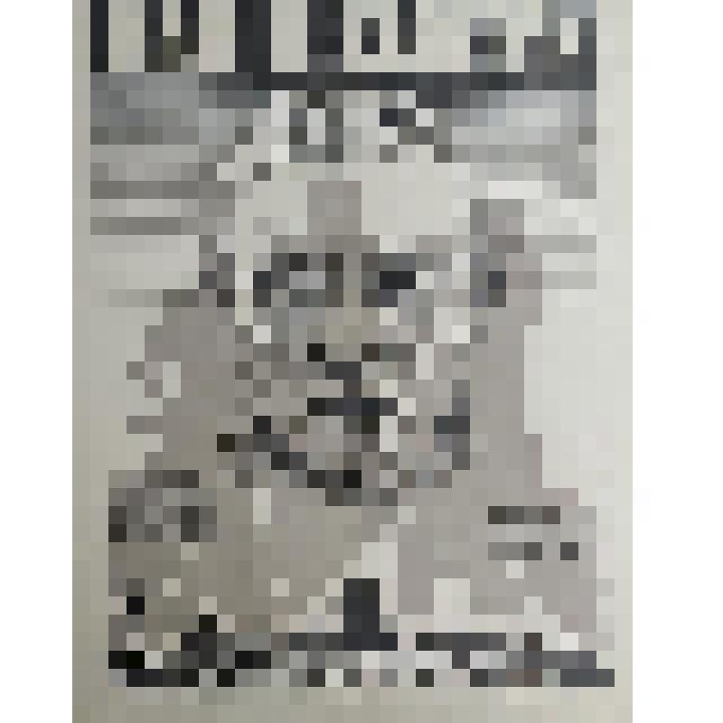 плакат. Фильм: Иди и смотри. 1985