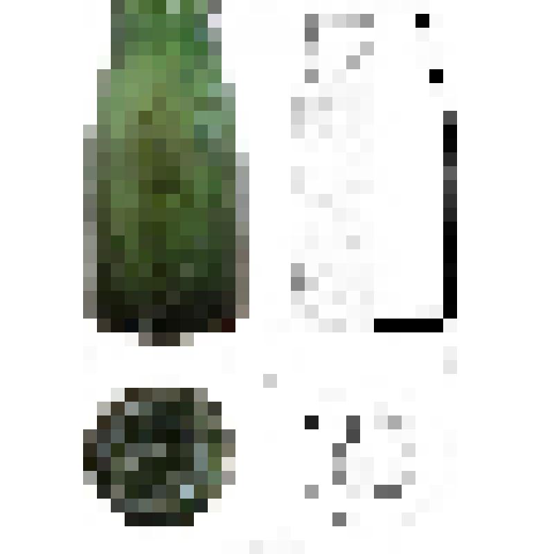 Банка
