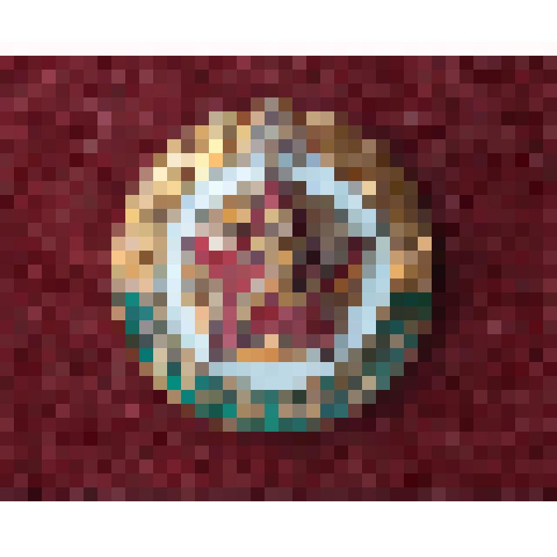 Знак. 3 разряд по бегу