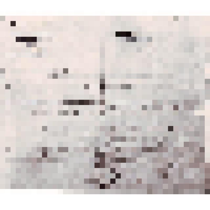 Характеристика на Карасева И