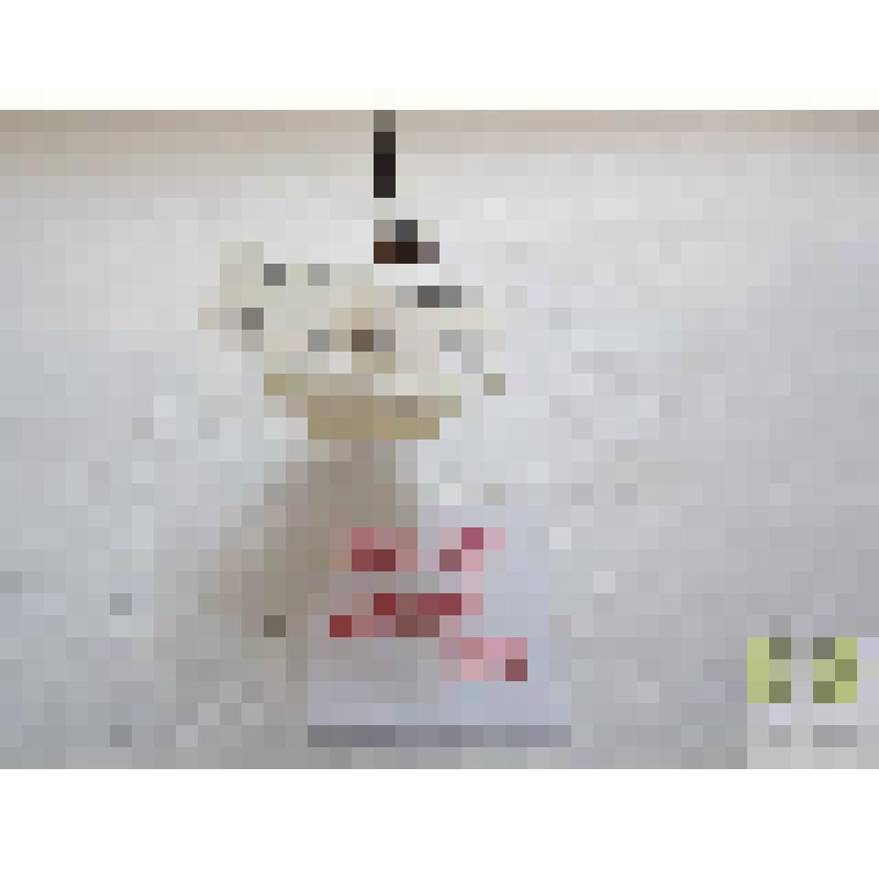 Нырялка болотная (Hydroporus palustris L.)