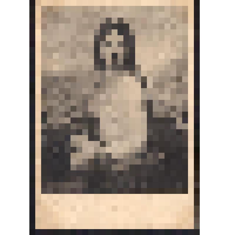 Письмо открытое. Репродукция. Серия Леонардо да Винчи и его школа. Ученик Леонардо. «Портрет женщины»