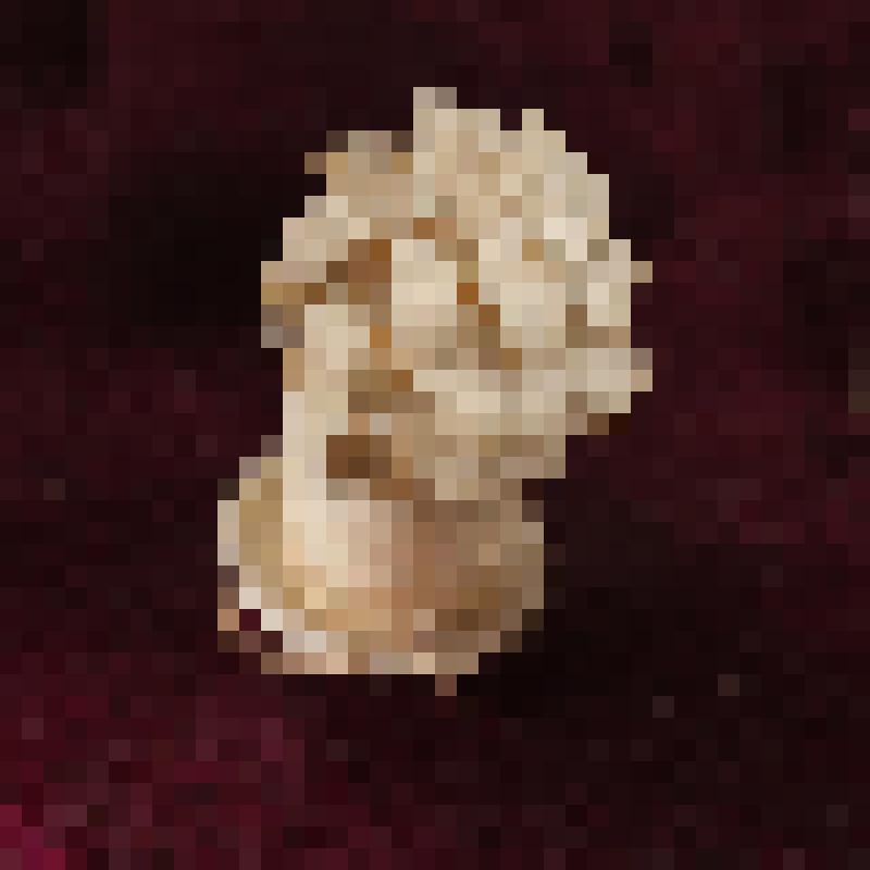 Коробка с костяными бирюльками: фикус в горшке