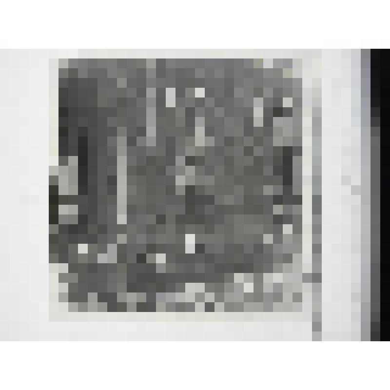 Усадьба управляющего Кусинским заводом. Главный дом. улица Андроновых, 13. 1895 г., 1909 г. Челябинская  обл., Кусинский р-н, г. Куса. Усадьба управляющего Кусинским заводом. Главный дом. улица Андроновых, 13. 1895 г., 1909 г. Тележников Ф. А. Фрагмент дв