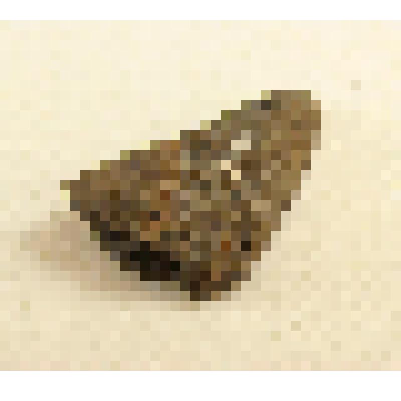 Фрагмент керамики