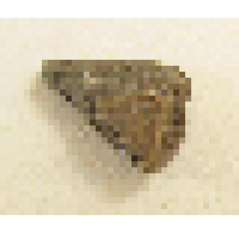 Фрагмент керамики