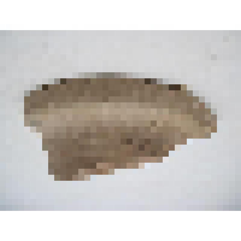 Кувшин (фрагмент)