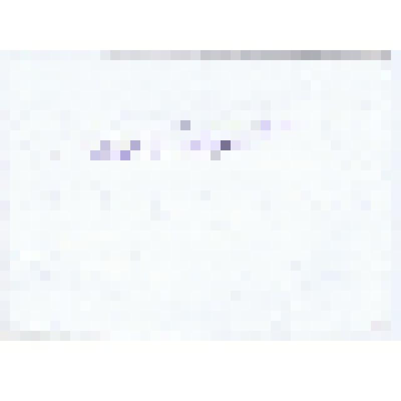 Фотография сюжетная. Катыгинский Степан Никонович судит поединок на турнире им. Завенягина