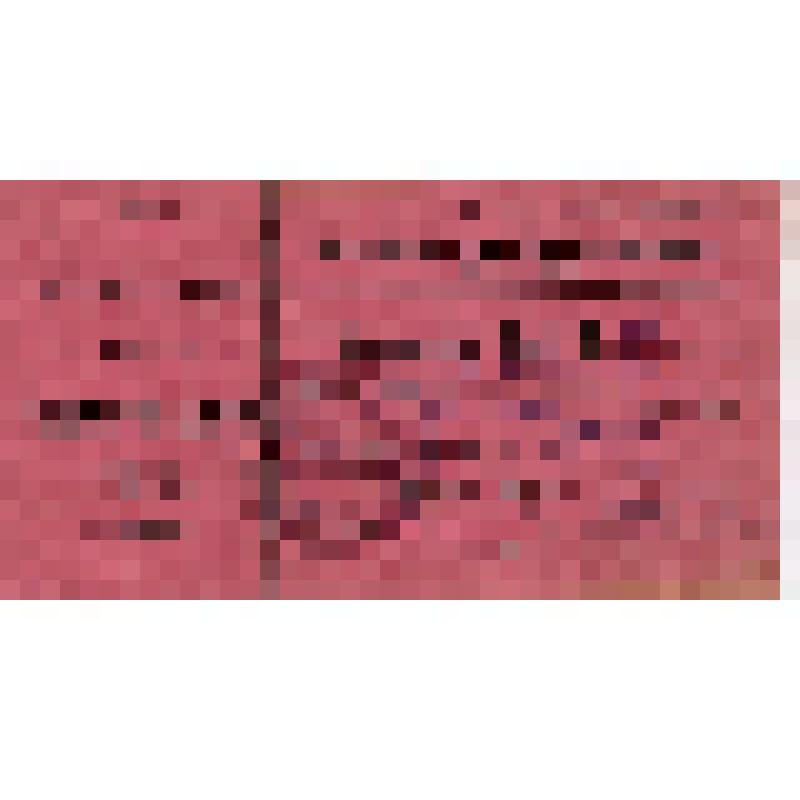 Фракционный билет N 9 Моисеева З.С. на IV-й Всероссийский съезд Союза строительных рабочих