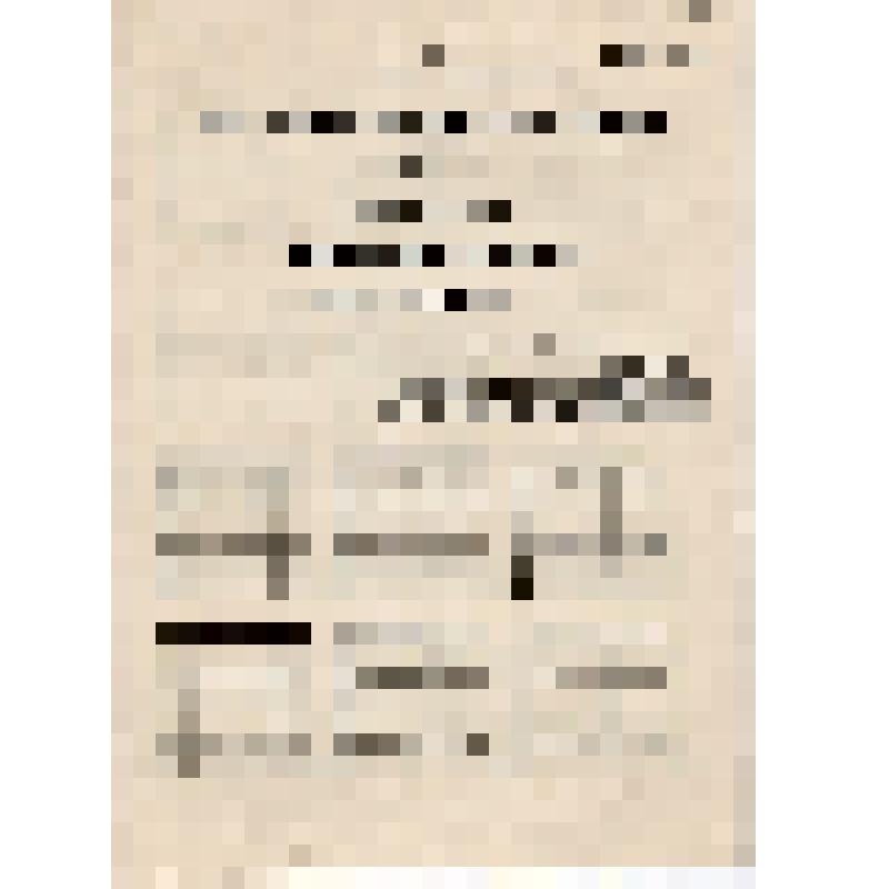 Счетный лист по выборам в ВС. Образец