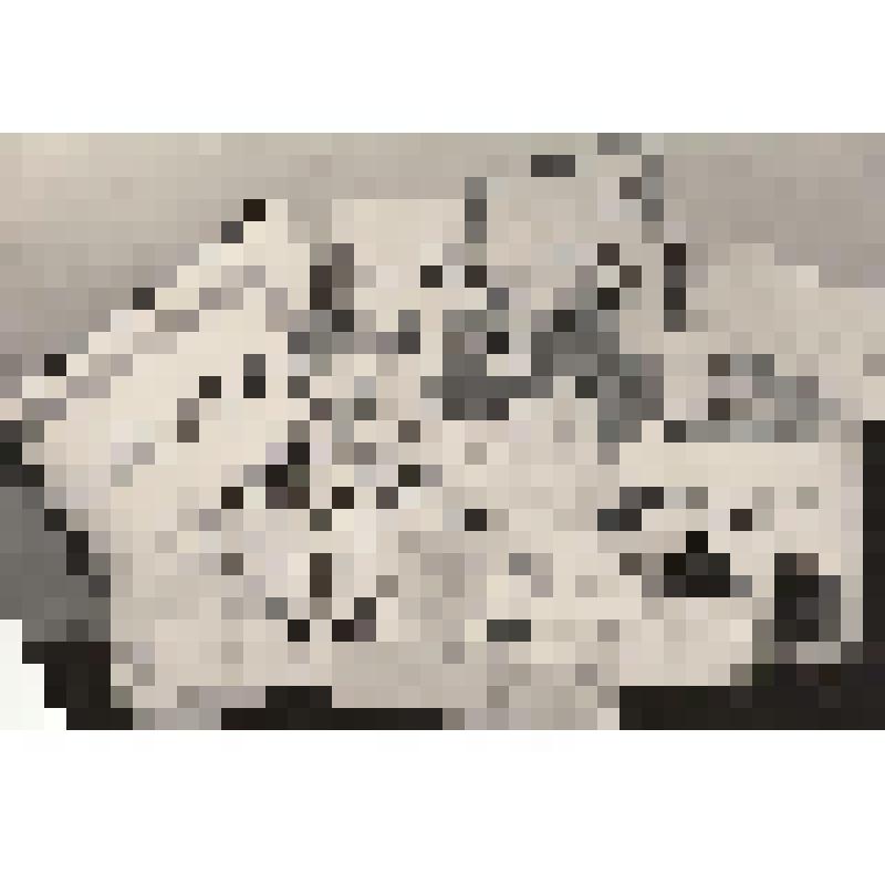 Фотография. Письма, поздравительные конверты, альбомы