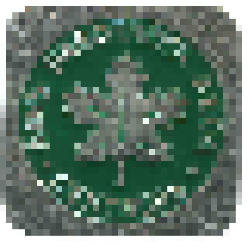 Значок. День работника леса. Сентябрь. на булавке. СССР