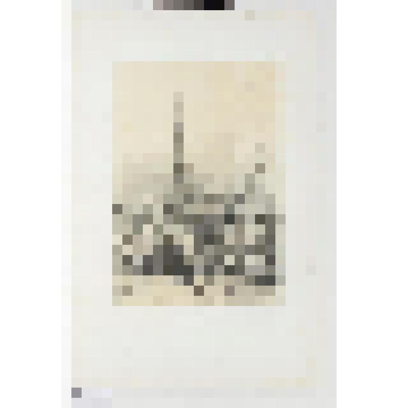 Литография. "Гамбург. Башня (колокольня) церкви Св. Якова, конец XV века и дома XVI и XVII веков."