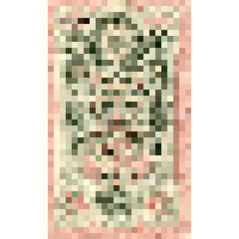 Государственный кредитный билет достоинством 10 рублей. Серийный №УК 894031