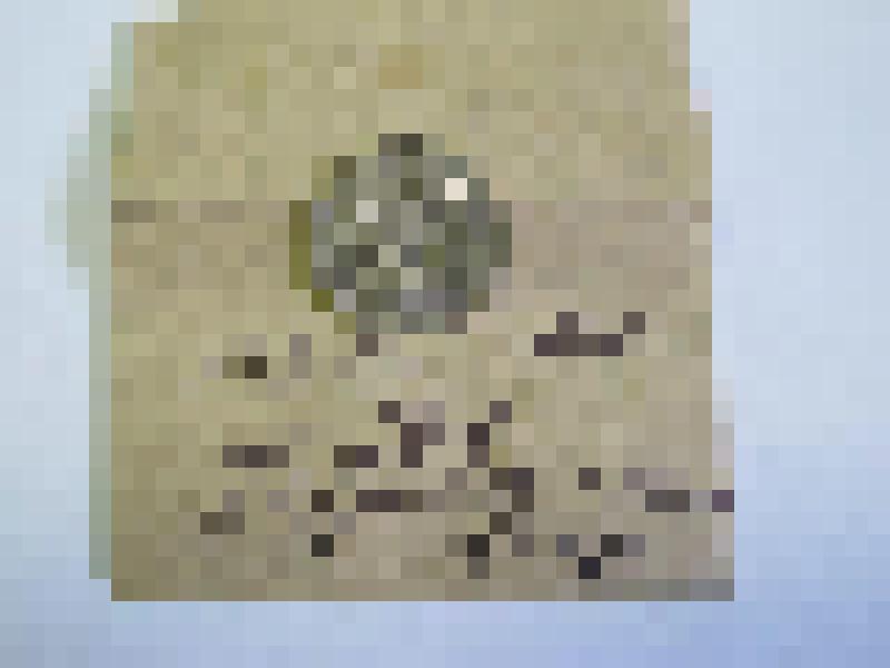 Монета -  10 (десять) копеек