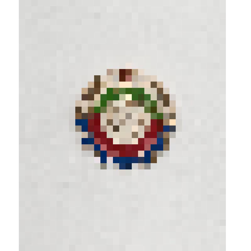 Знак членский ДОМА (Демократическая организация молодежи Афганистана.)